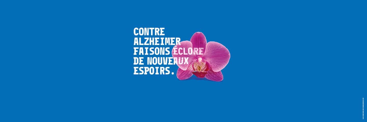 Une orchidée pour la mémoire